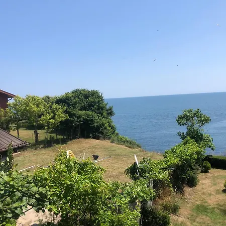 спас 2 *